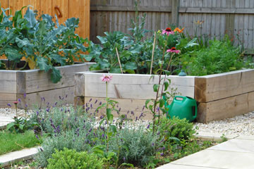 Large garden designed with space for vegetables, Farnham Common, Buckinghamshire